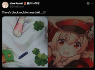 black_mold irl pillow // 512x381 // 181KB