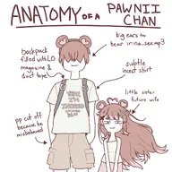 anatomy_of_a_gamer artist:wholesomeorenji character:pawnii_chan flat_chest meme // 1200x1200 // 163KB